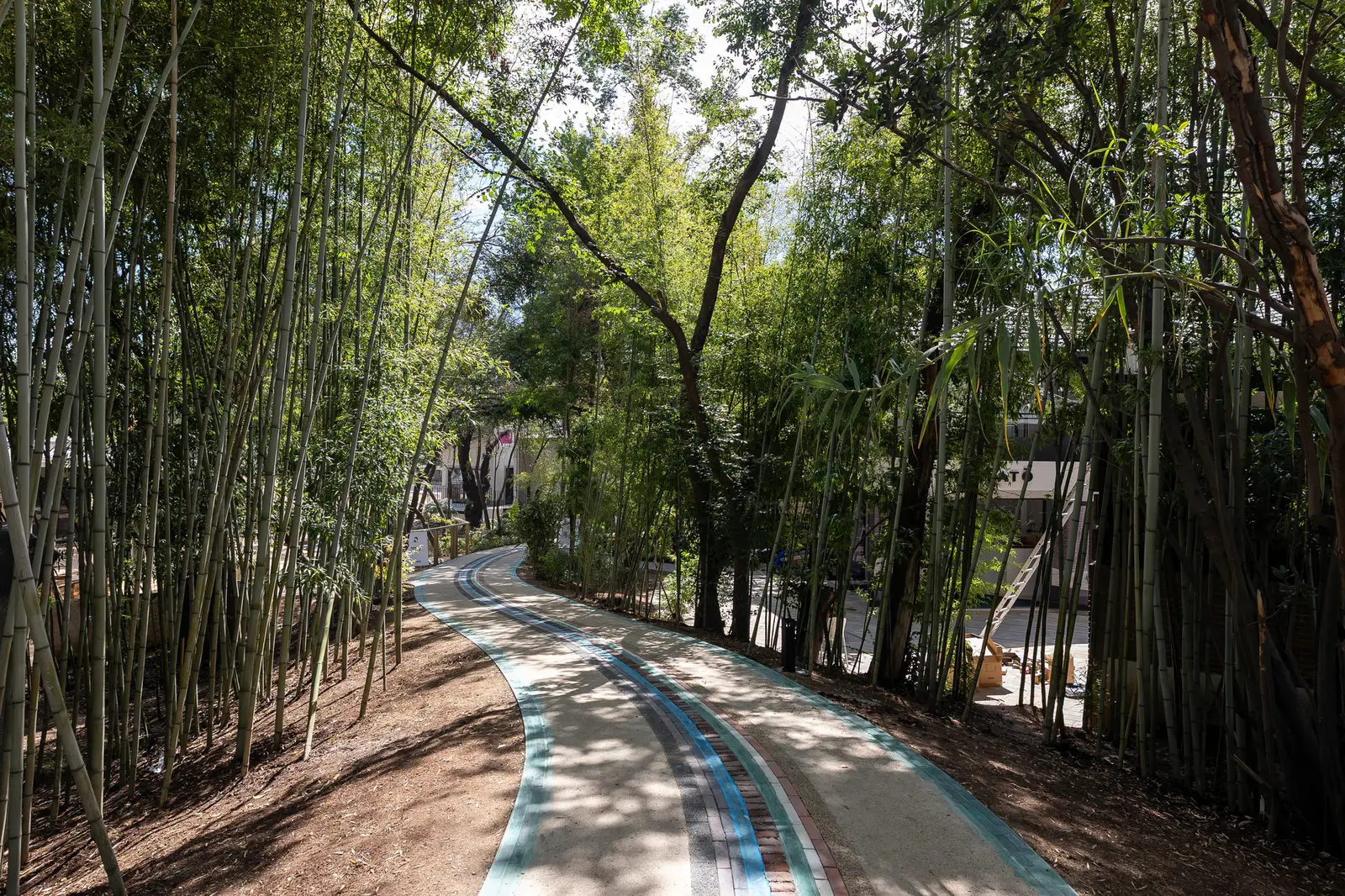 The lane through the bamboo at Nine Yards, with its teal and grey stripes